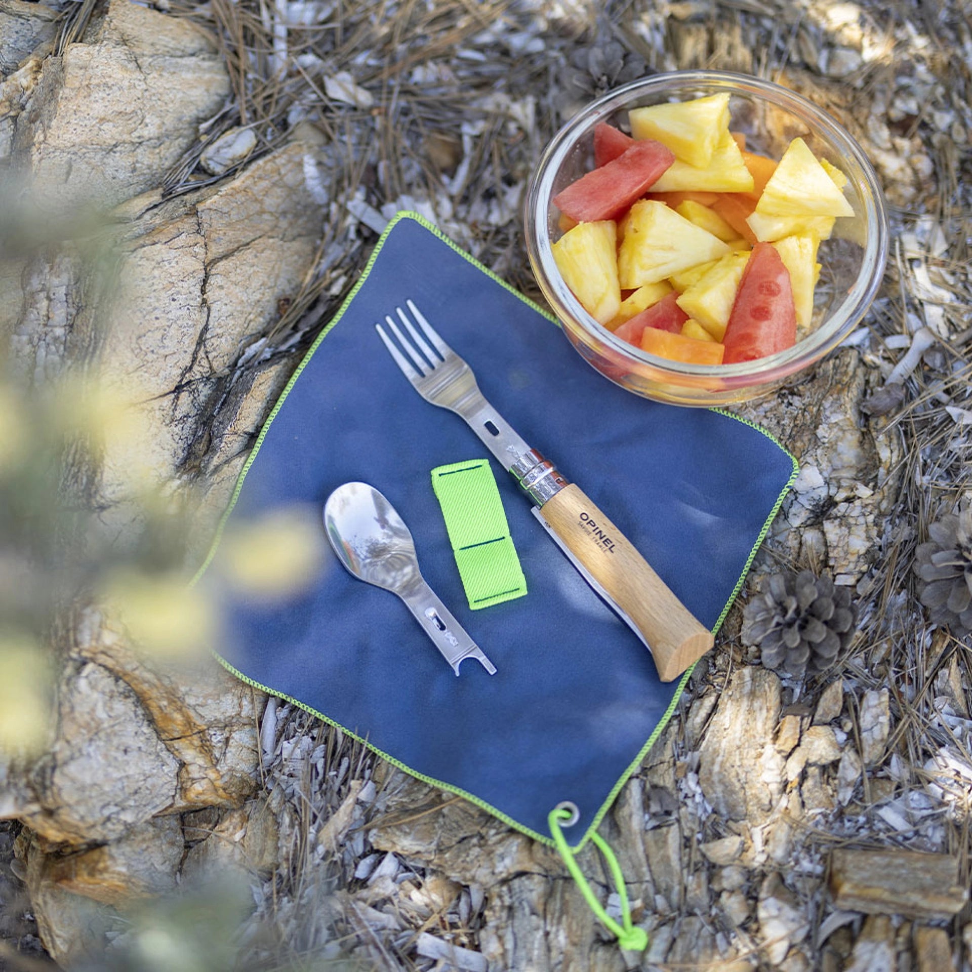 Opinel Stainless Steel Complete Picnic Set Folding & Locking Knives